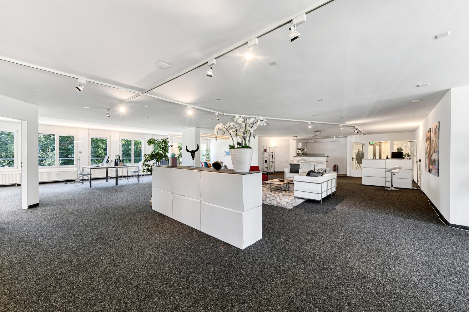 247m² ufficio