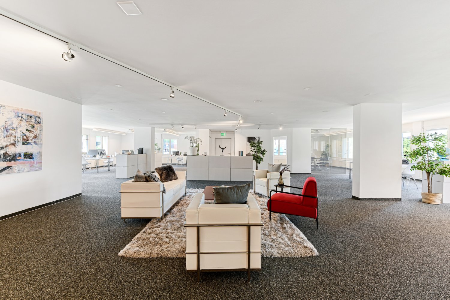 247m² ufficio