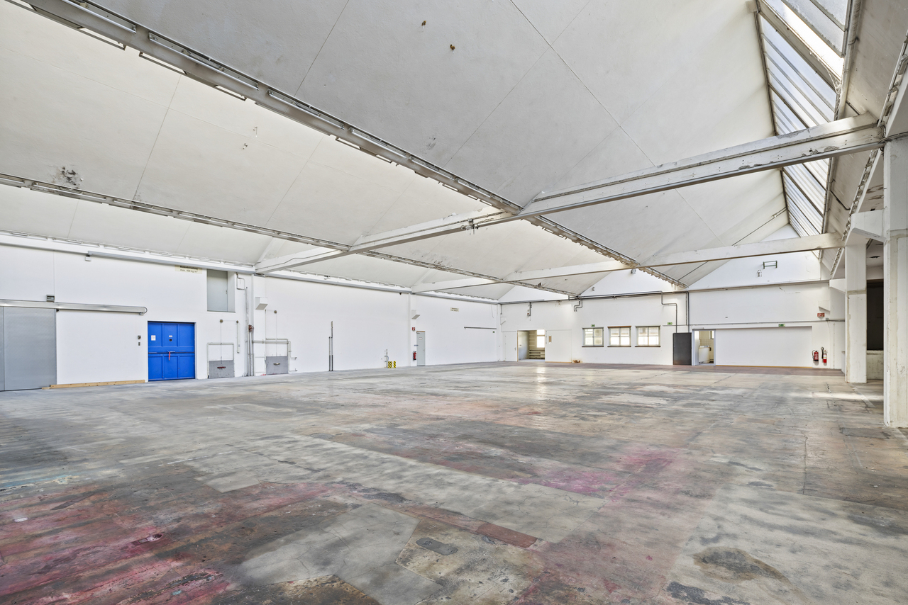 3000m² commerciale