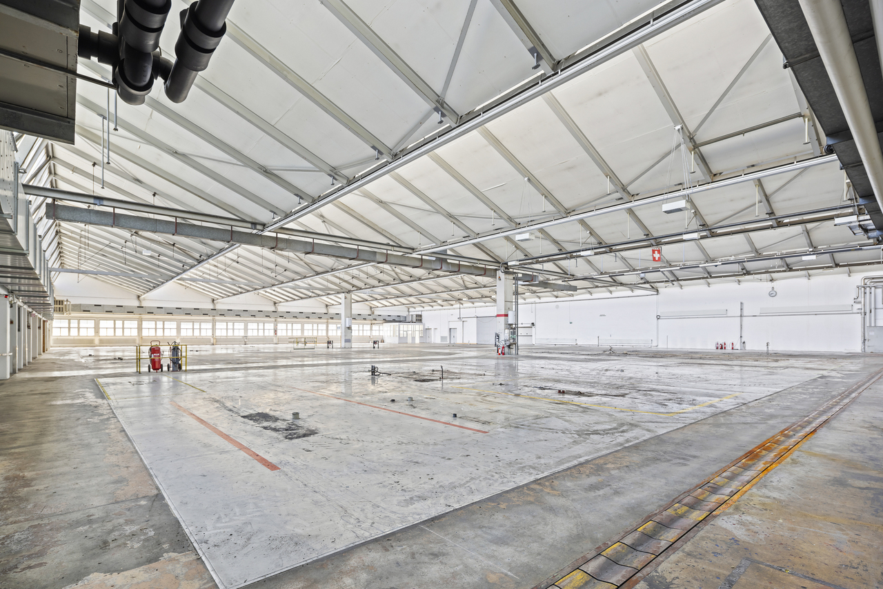 3000m² commerciale