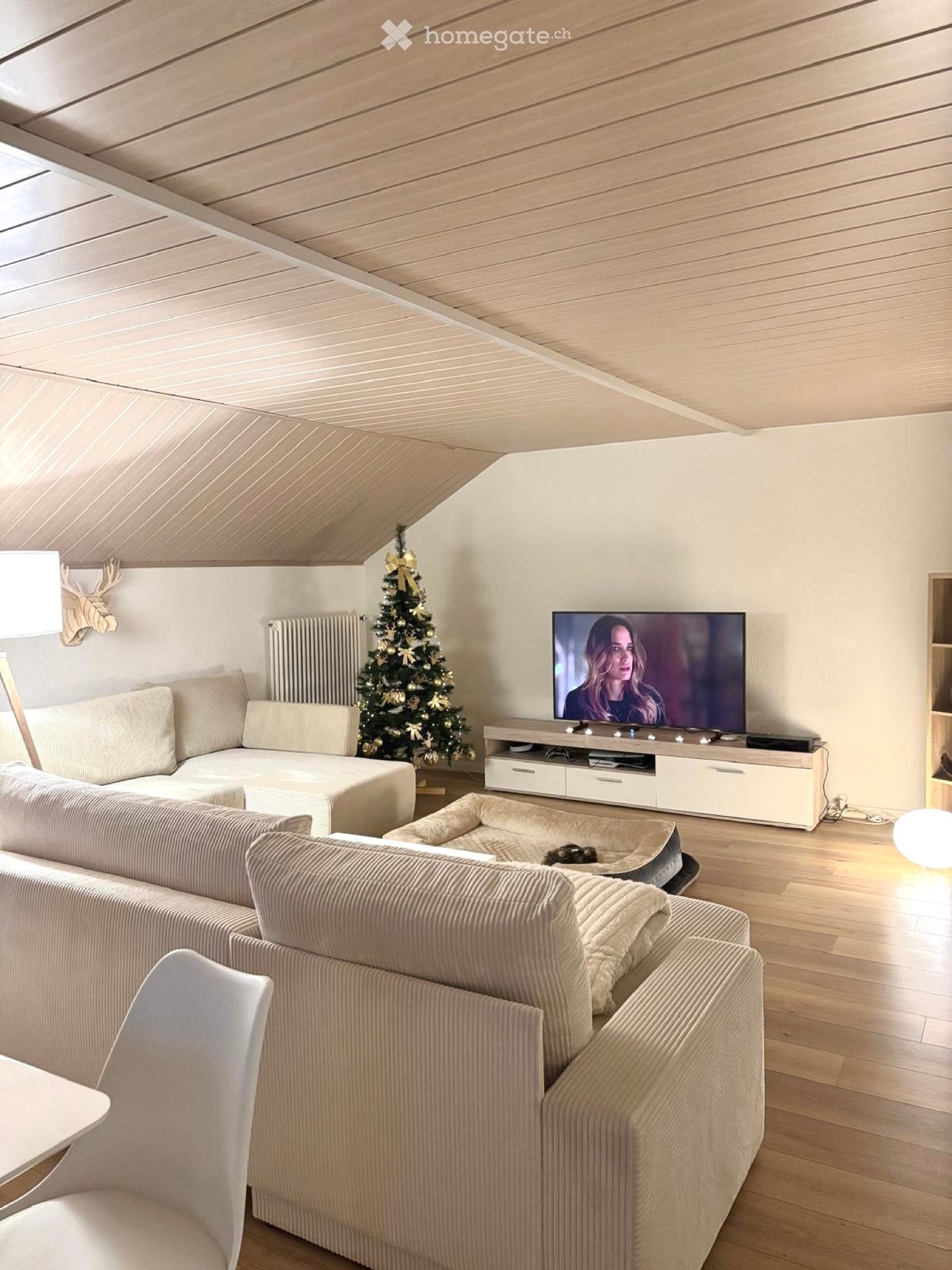 5 rooms apartment