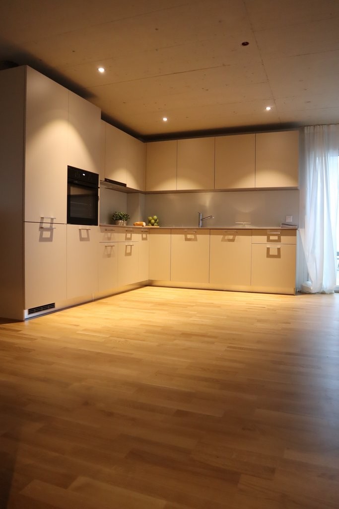 Appartamento di 3 ½ locali","description":"Appartamento ultra moderno e confortevole - lasciatevi convincere dalle seguenti caratteristiche:

L'oggetto dispone di una **splendida e moderna cucina**, che invita a cucinare. I numerosi spazi di stoccaggio e la grande superficie di lavoro sono un ulteri