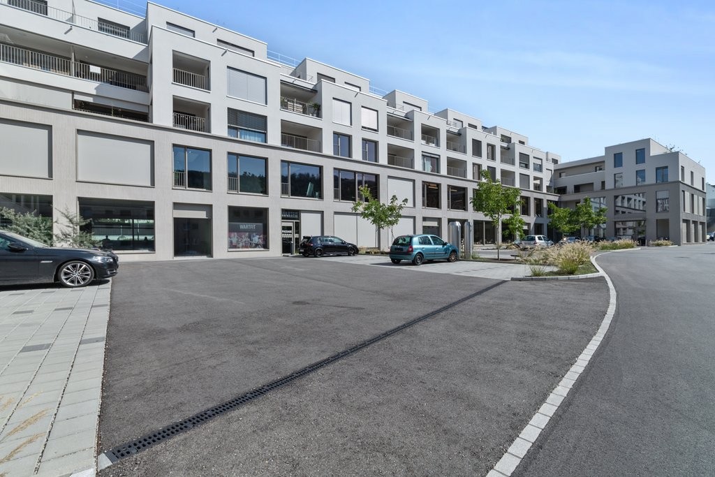 Appartamento di 3 ½ locali","description":"Appartamento ultra moderno e confortevole - lasciatevi convincere dalle seguenti caratteristiche:

L'oggetto dispone di una **splendida e moderna cucina**, che invita a cucinare. I numerosi spazi di stoccaggio e la grande superficie di lavoro sono un ulteri