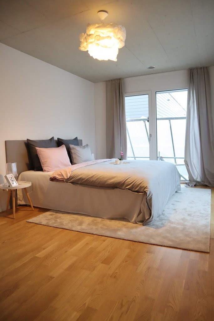 Appartamento di 3 ½ locali","description":"Appartamento ultra moderno e confortevole - lasciatevi convincere dalle seguenti caratteristiche:

L'oggetto dispone di una **splendida e moderna cucina**, che invita a cucinare. I numerosi spazi di stoccaggio e la grande superficie di lavoro sono un ulteri