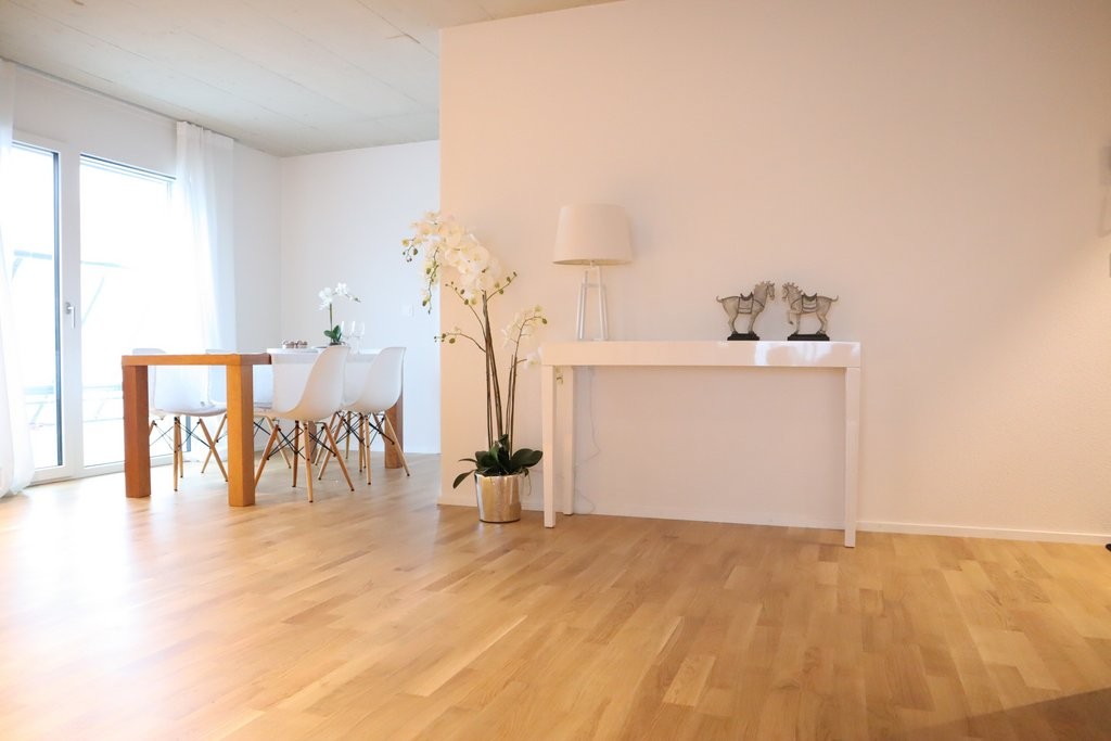 Appartamento di 3 ½ locali","description":"Appartamento ultra moderno e confortevole - lasciatevi convincere dalle seguenti caratteristiche:

L'oggetto dispone di una **splendida e moderna cucina**, che invita a cucinare. I numerosi spazi di stoccaggio e la grande superficie di lavoro sono un ulteri