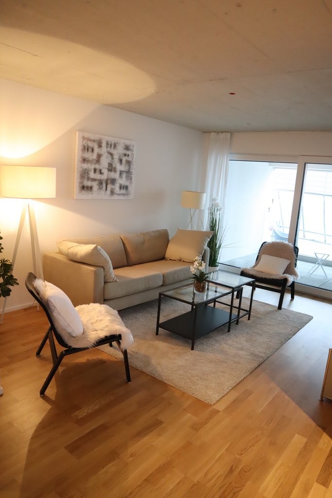 Appartamento di 3 ½ locali","description":"Appartamento ultra moderno e confortevole - lasciatevi convincere dalle seguenti caratteristiche:

L'oggetto dispone di una **splendida e moderna cucina**, che invita a cucinare. I numerosi spazi di stoccaggio e la grande superficie di lavoro sono un ulteri