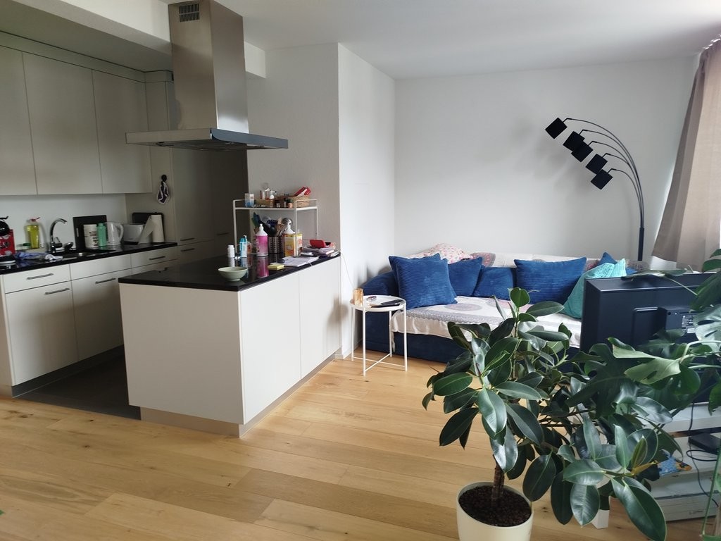 Appartamento di 2 ½ locali, foto 1 di 8