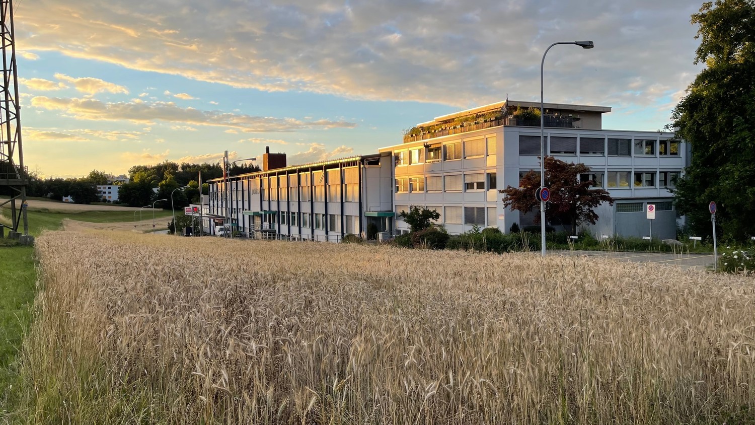 440m² commerciale