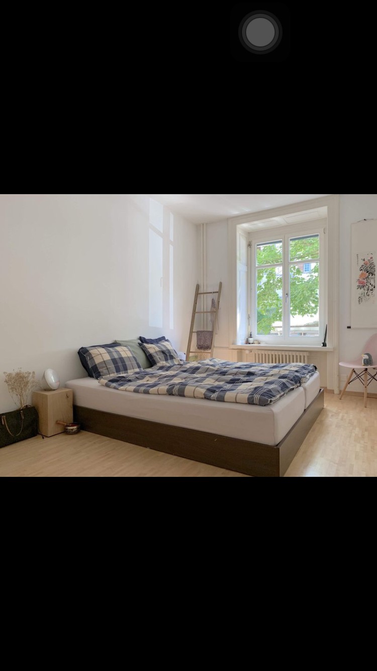 Bellissimo appartamento d'epoca di 3 locali a Enge, foto 4 di 8