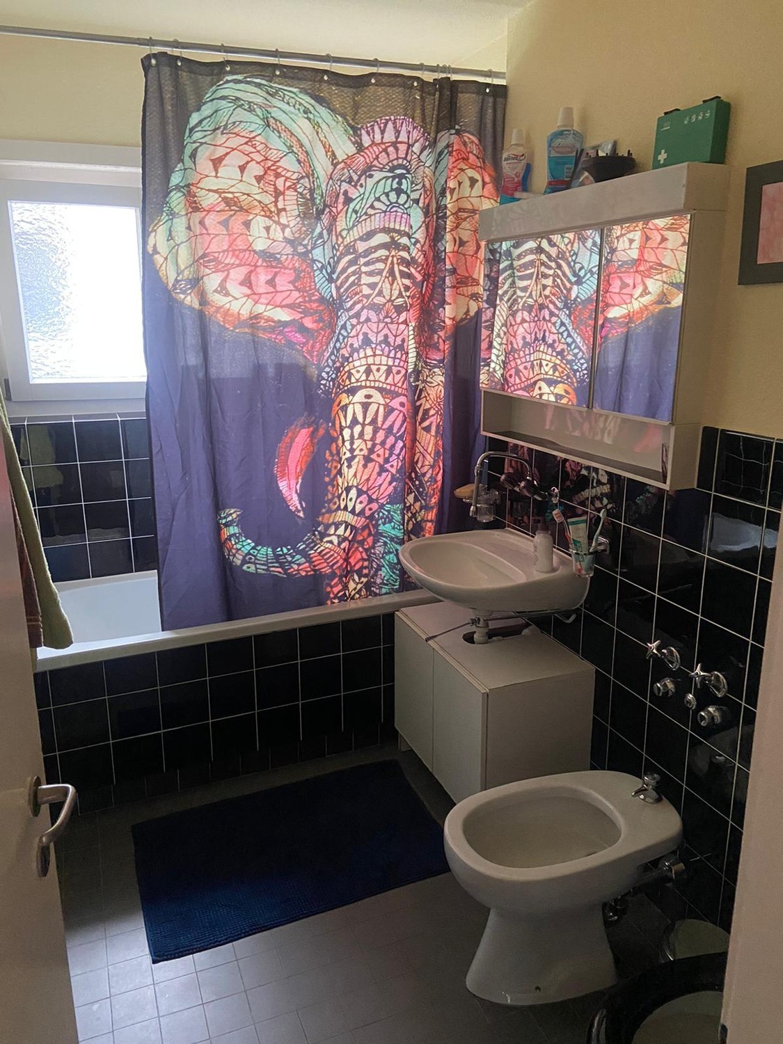 Room in a shared flat