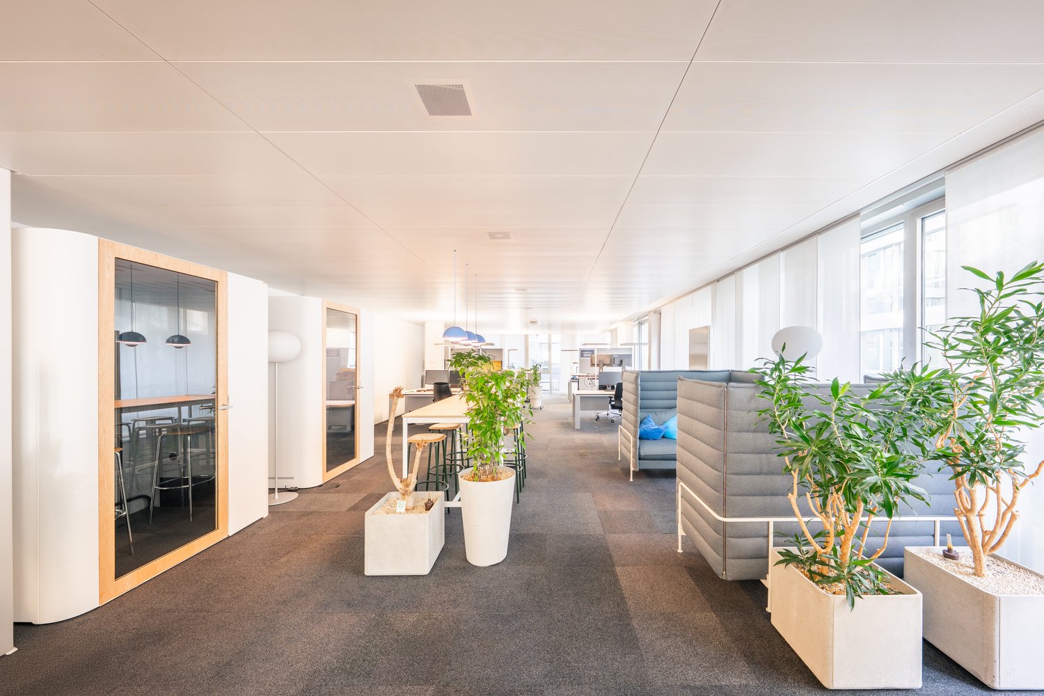 2800m² office