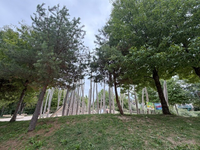 Appartamento di 5 ½ locali, foto 4 di 9