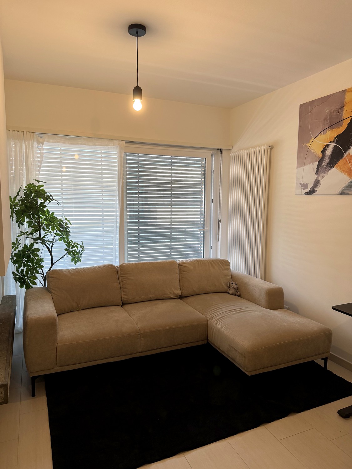 2 ½ rooms apartment, foto 9 di 10