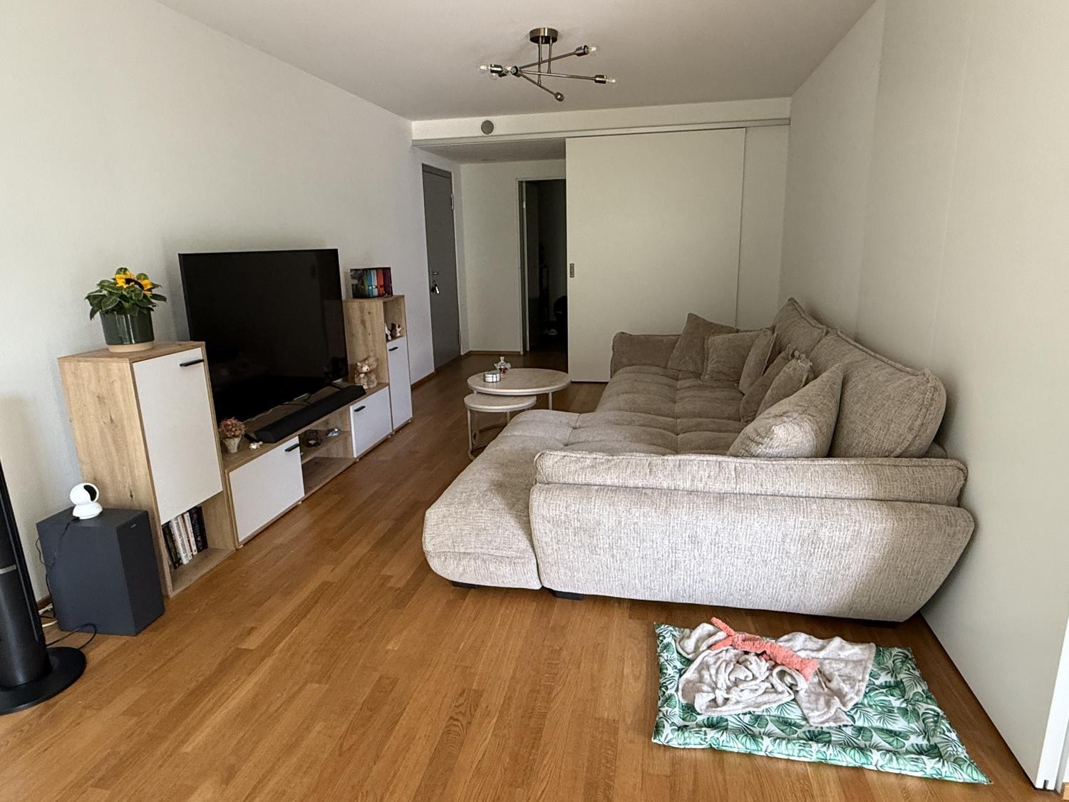 2 ½ Zimmer Wohnung