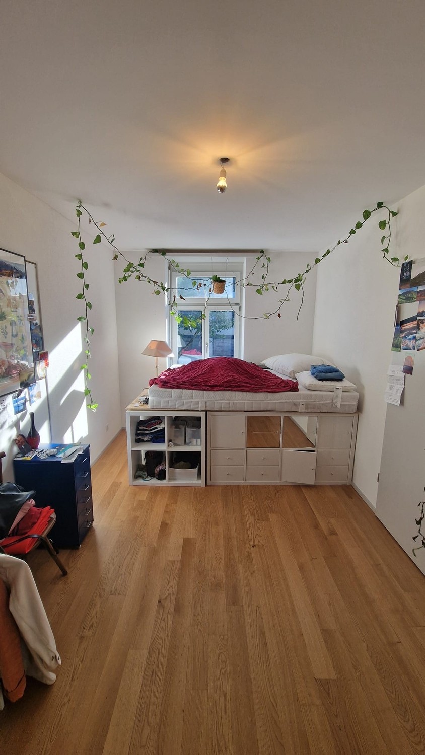 Room in a shared flat