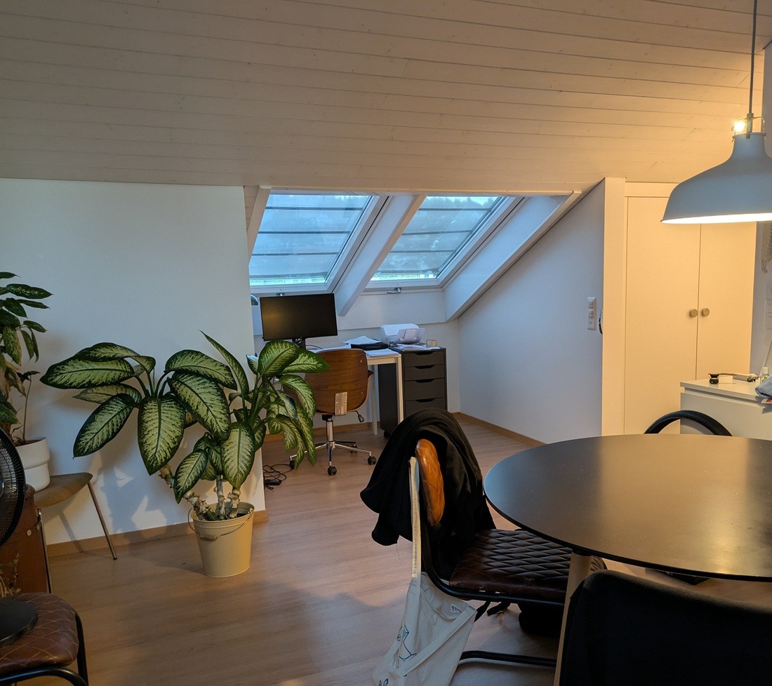 Appartamento di 2 ½ locali, foto 2 di 4