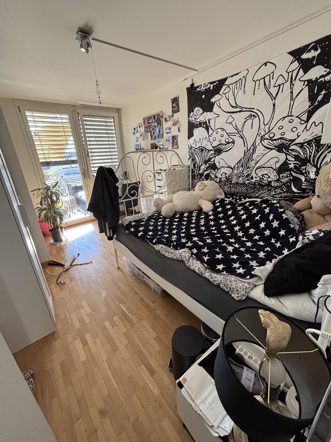 casa singola di 6 ½ locali, foto 4 di 9