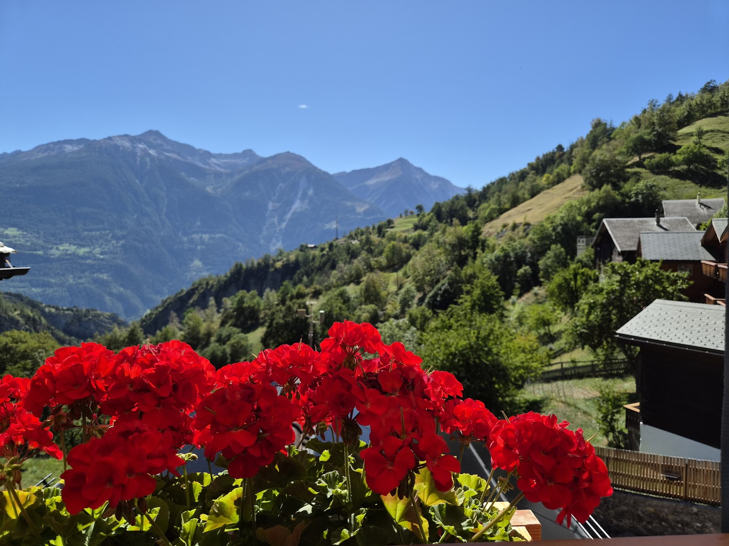 Appartamento di 2 ½ locali, foto 3 di 10