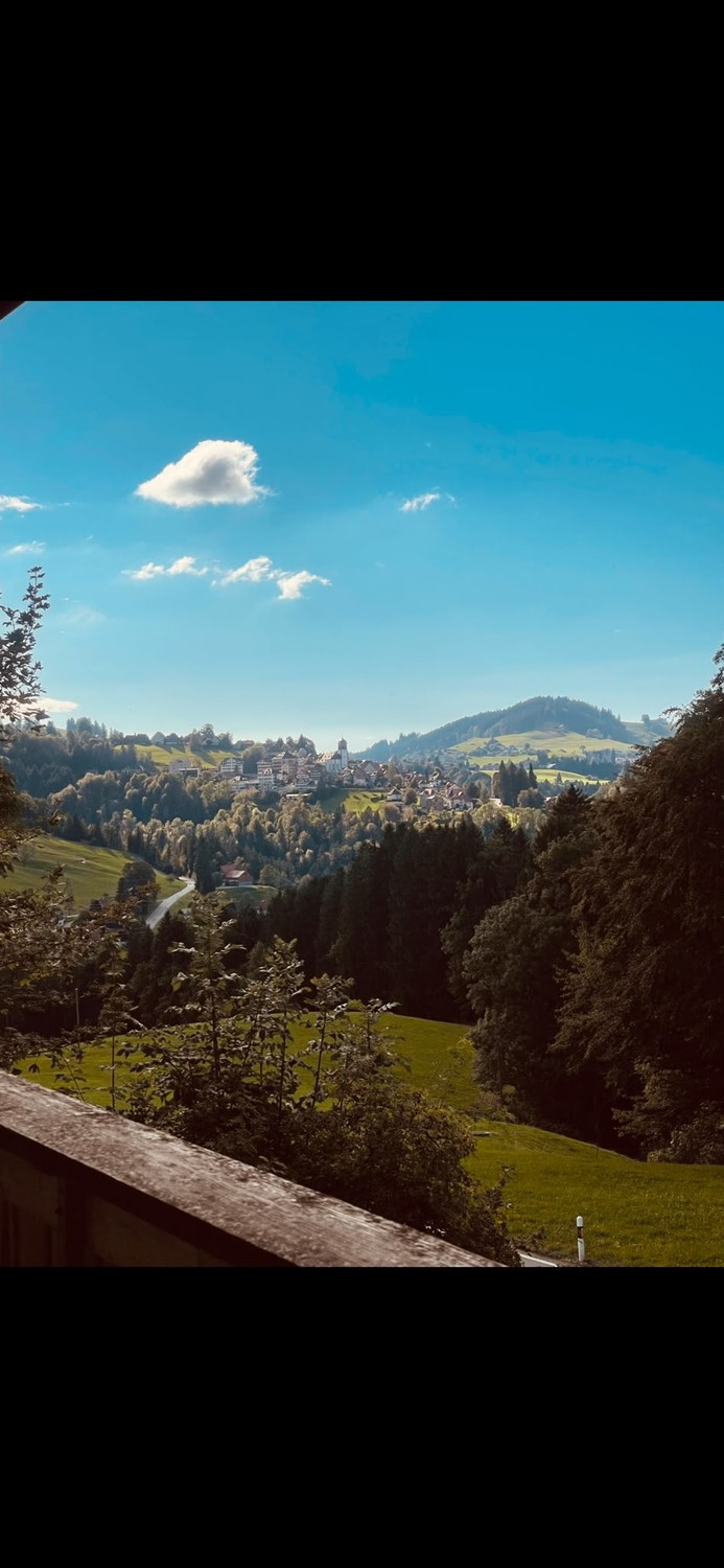 Appartamento di 3 ½ locali, foto 10 di 10