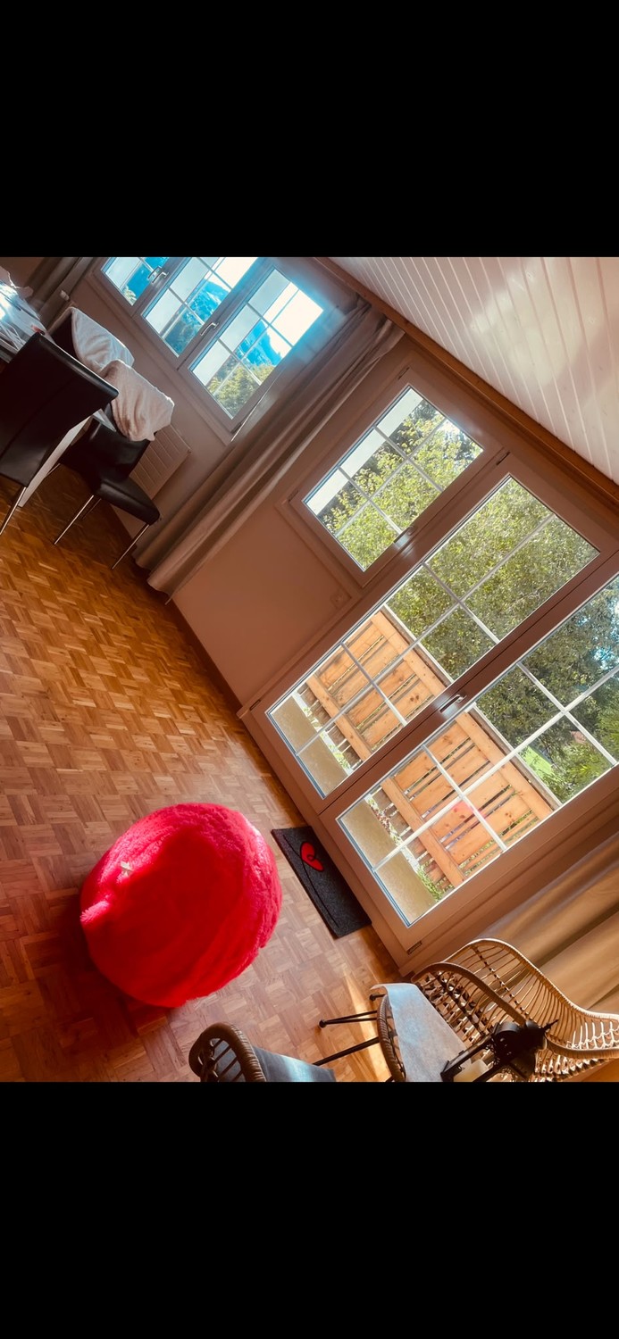 Appartamento di 3 ½ locali, foto 3 di 10