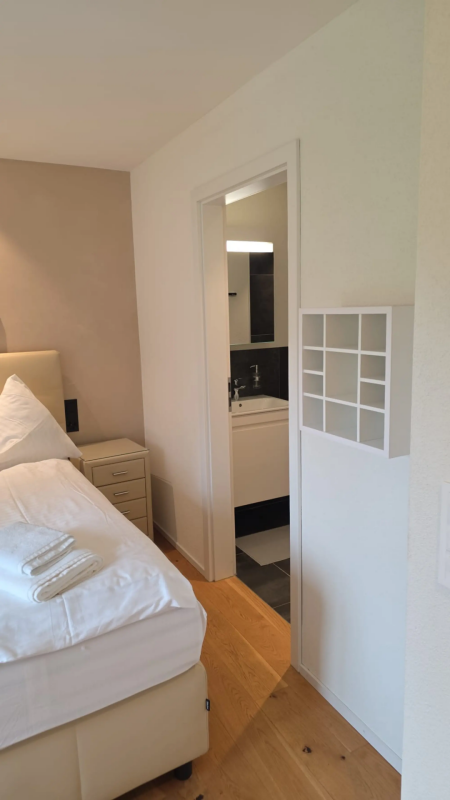 Appartamento arredato di 3 ½ locali, foto 7 di 7