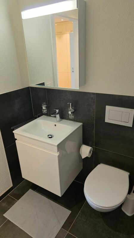 Appartamento arredato di 3 ½ locali, foto 6 di 7