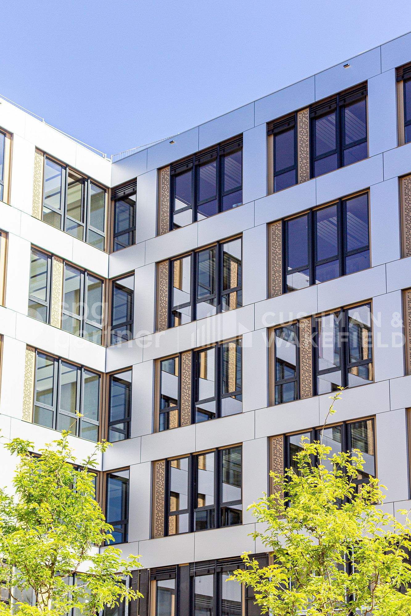 3000m² commerciale