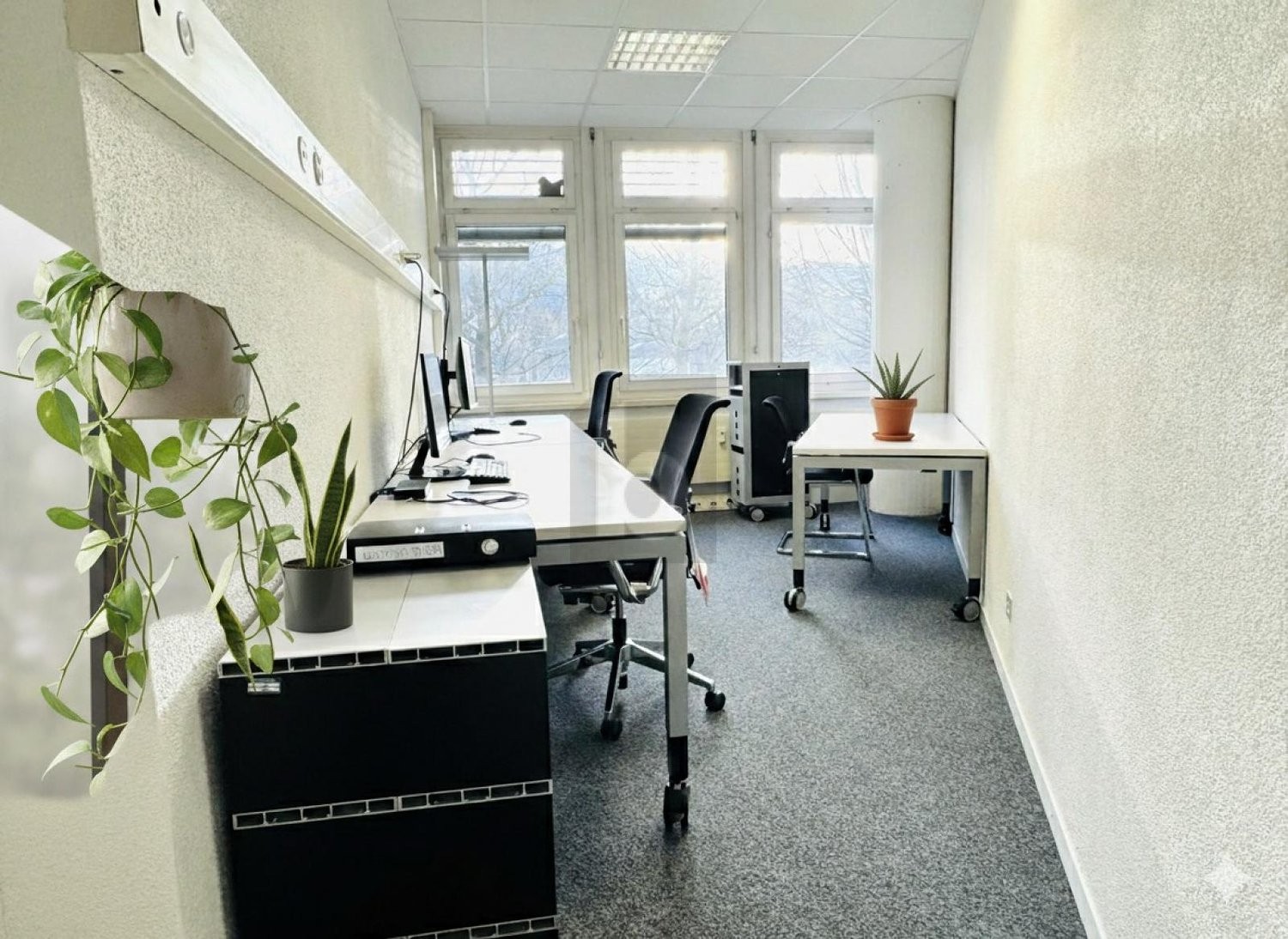 250m² ufficio
