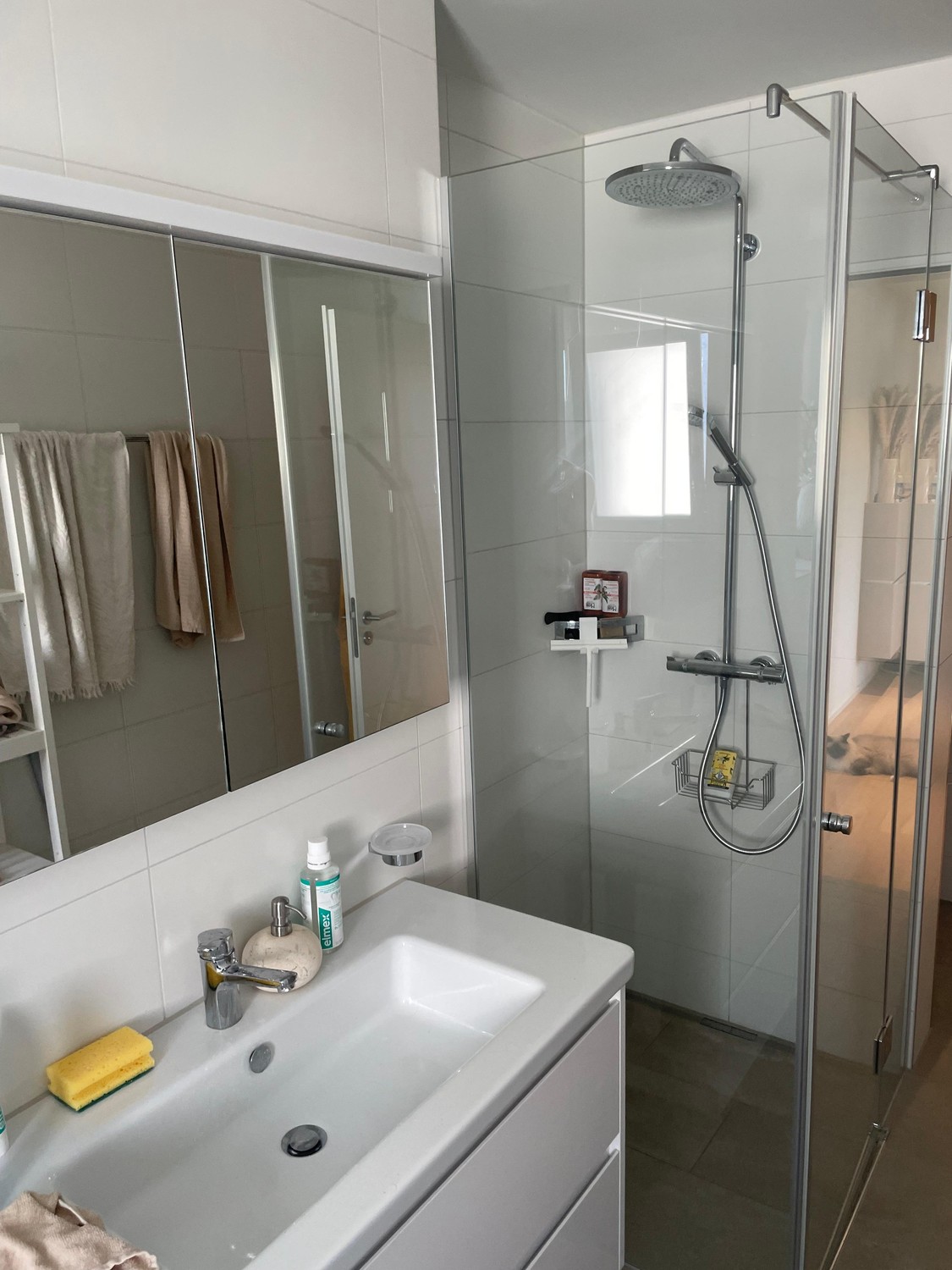 Appartamento di 3 ½ locali, foto 7 di 10