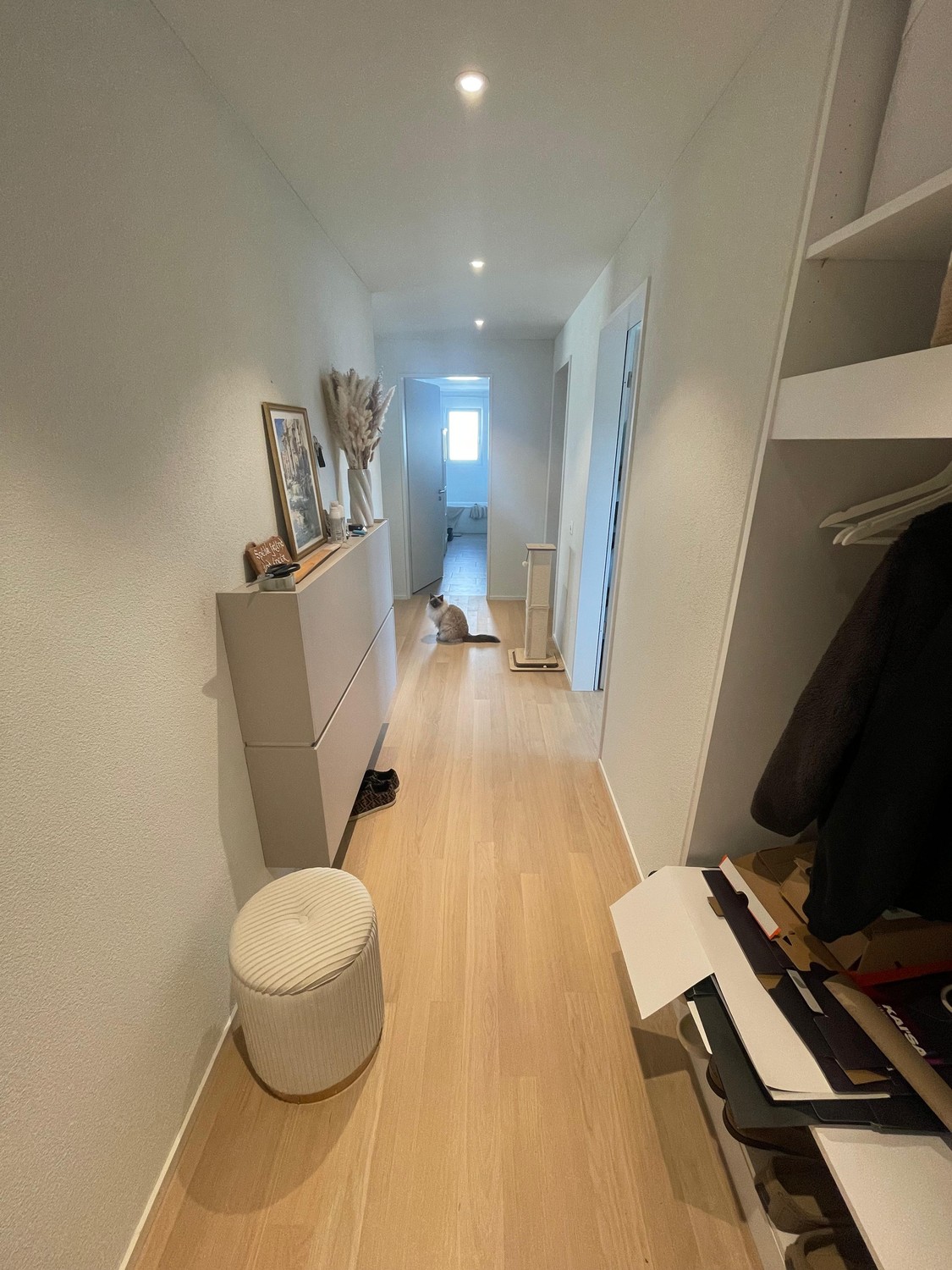 Appartamento di 3 ½ locali, foto 1 di 10