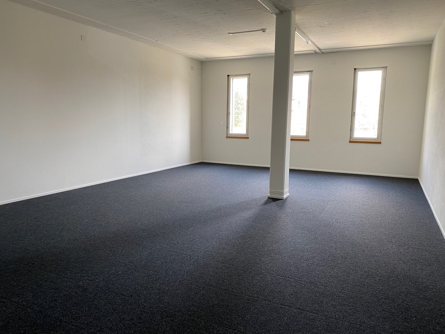 145m² commerciale