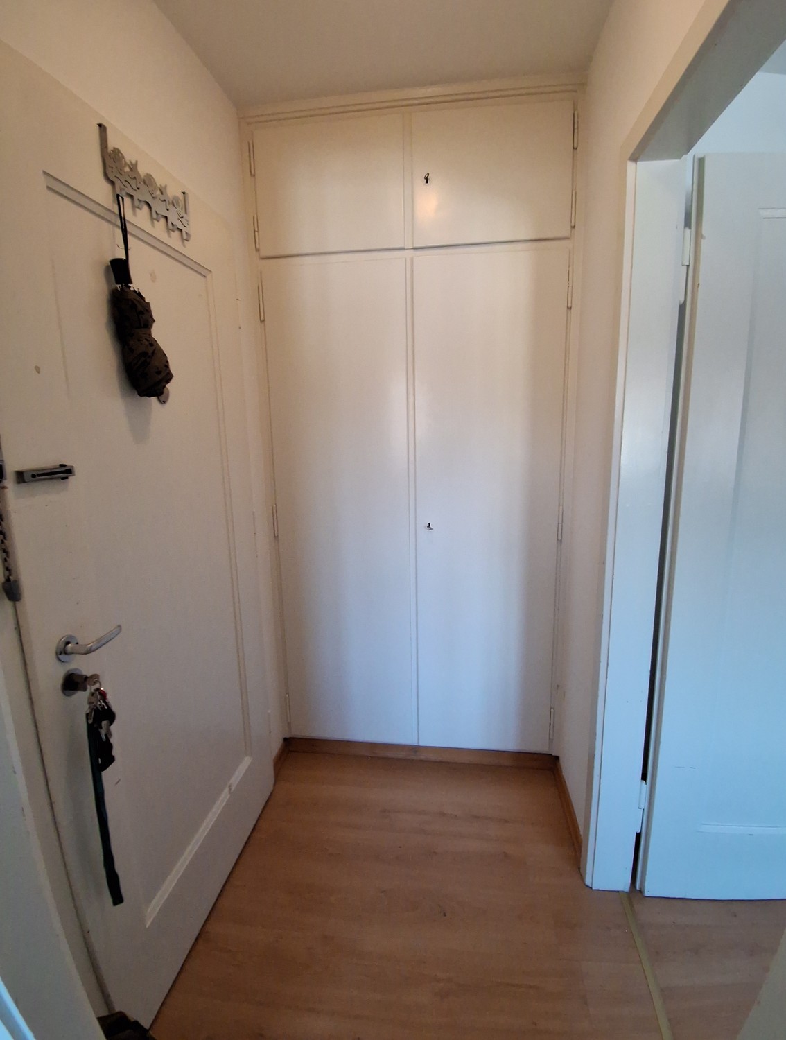 Appartamento di 2 ½ locali, foto 1 di 4