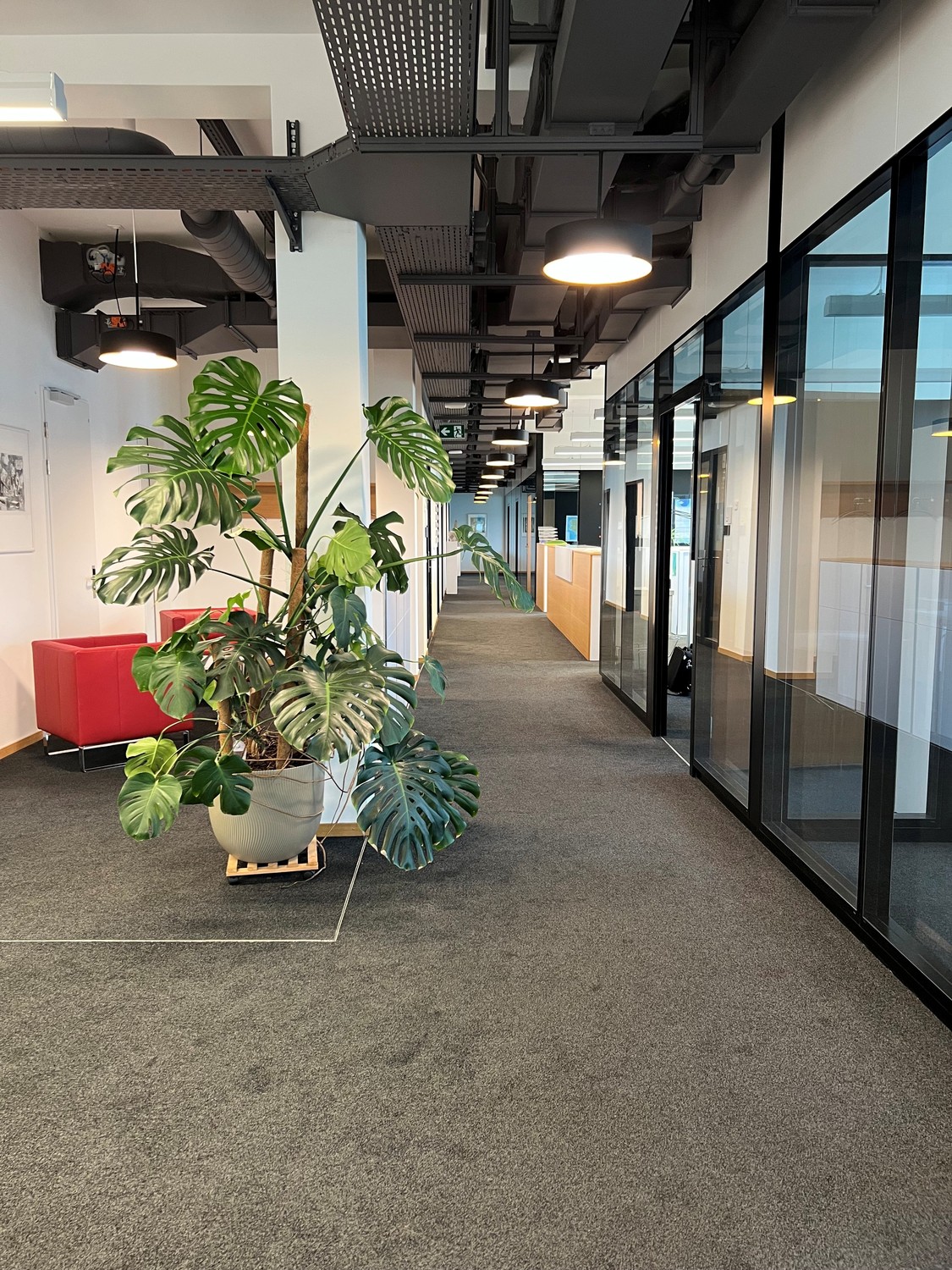 ufficio di 442m²