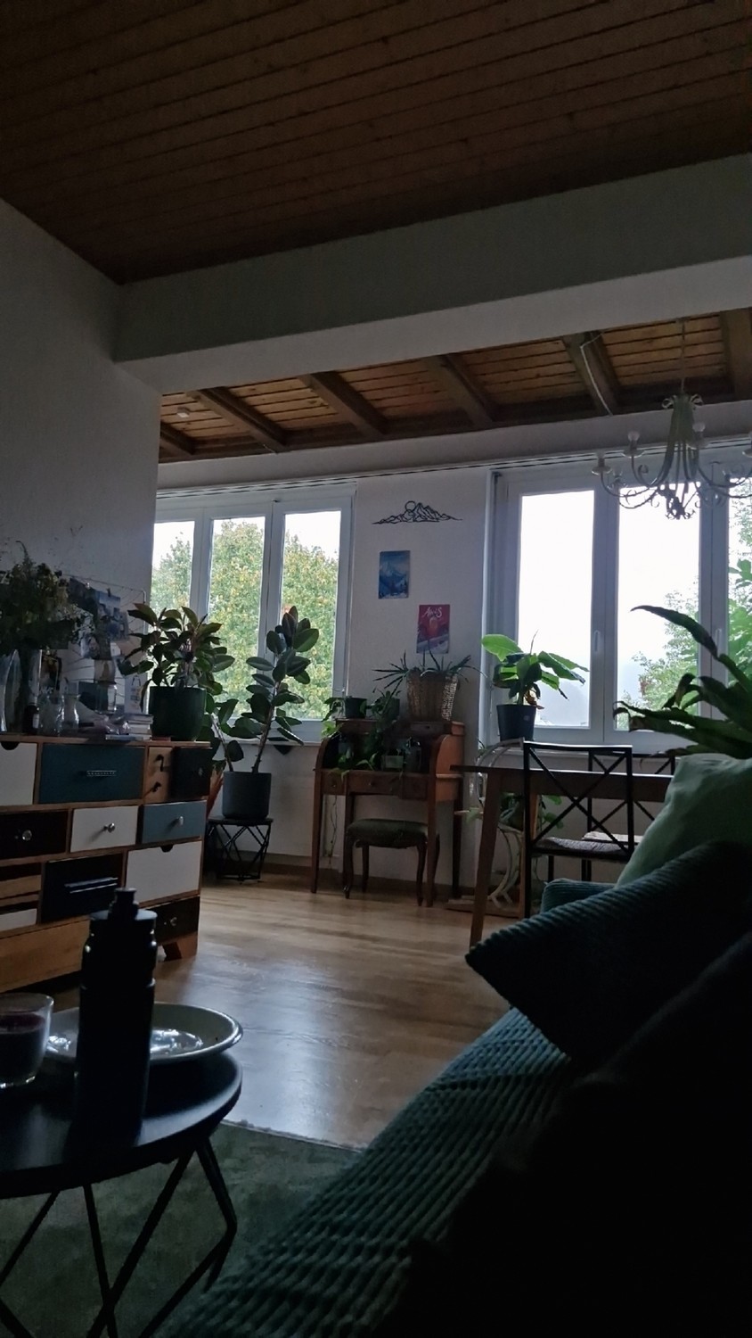 Stanza in un appartamento condiviso