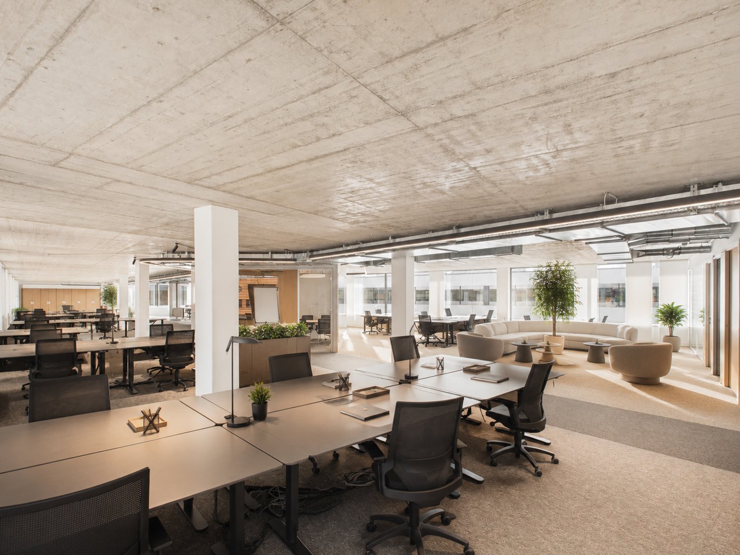 1190m² ufficio