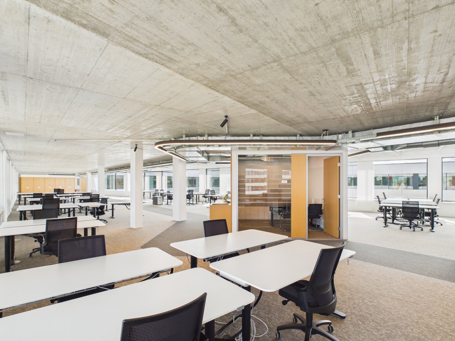 1190m² ufficio