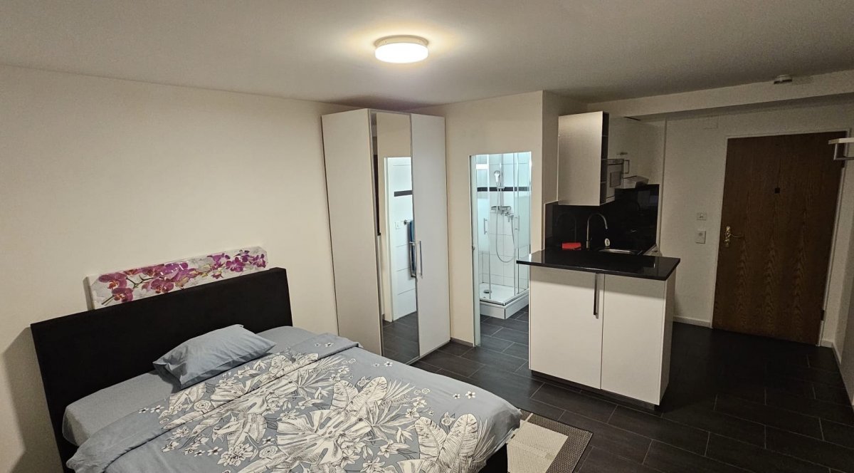 Studio di 1 ½ locali, foto 2 di 4