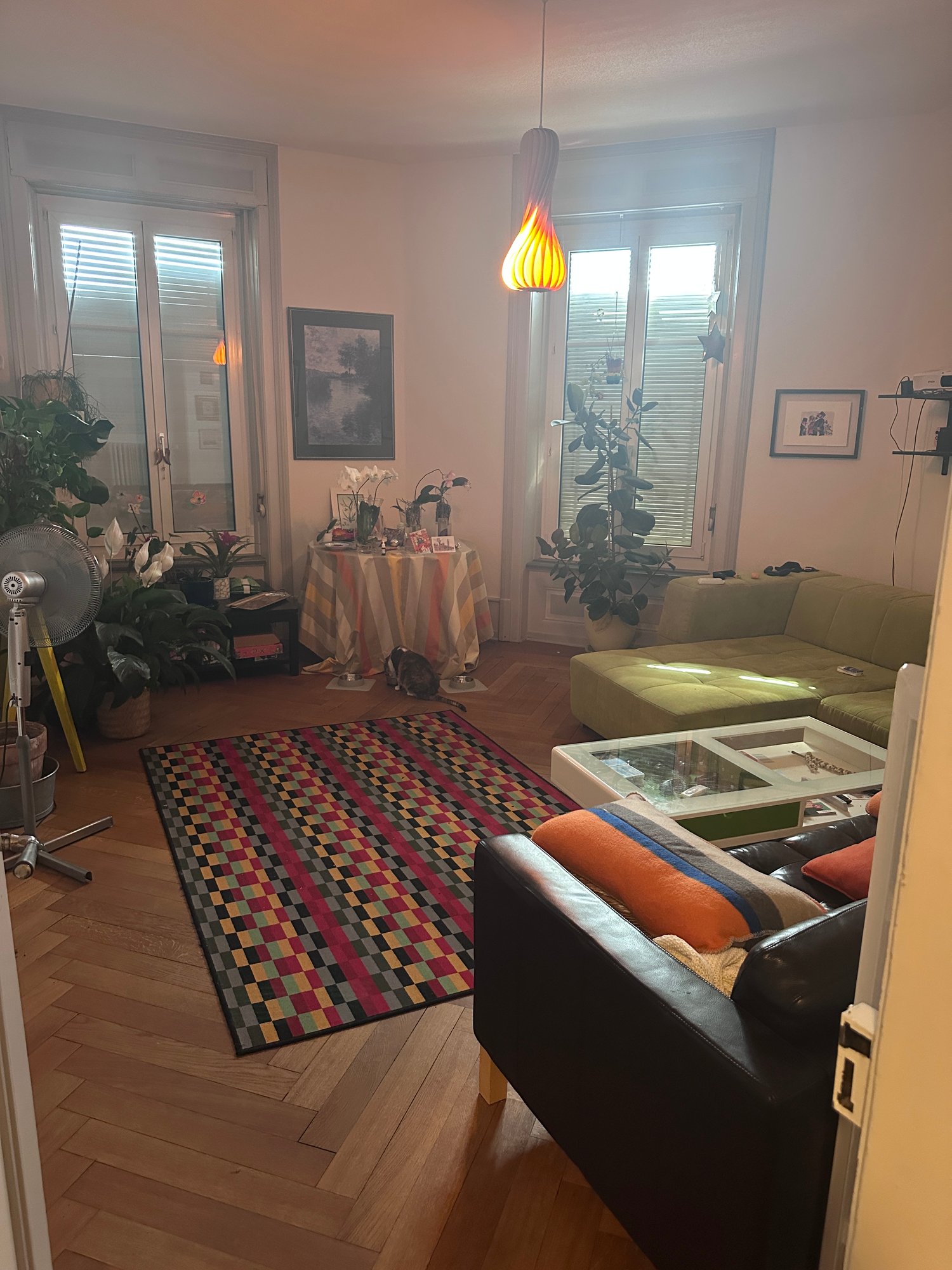 Appartamento di 5 ½ locali, foto 5 di 10