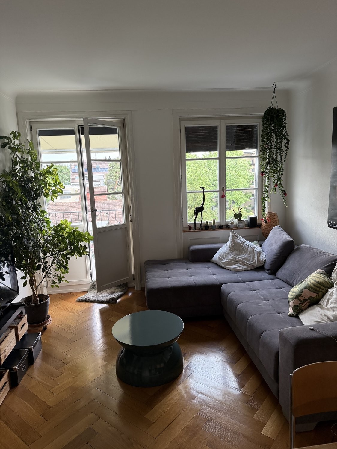 appartamento arredato di 2 locali, foto 6 di 9