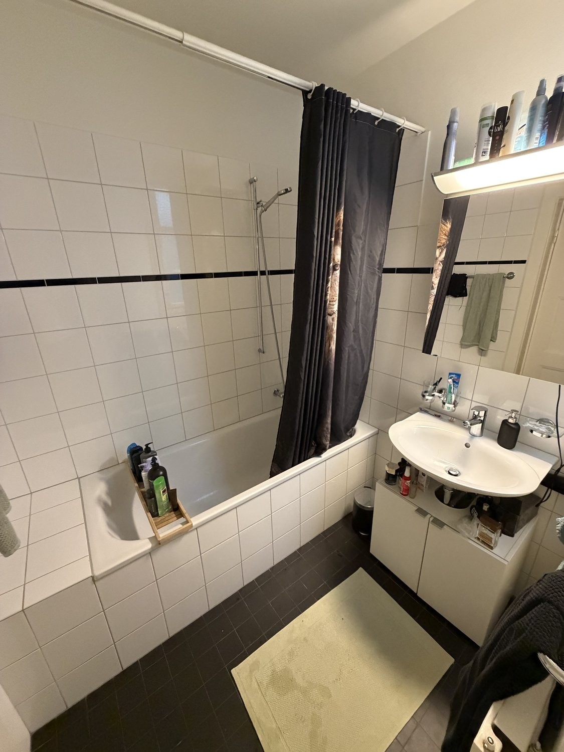 appartamento arredato di 2 locali, foto 8 di 9