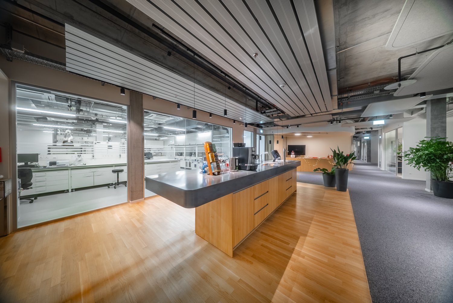 2468m² commerciale
