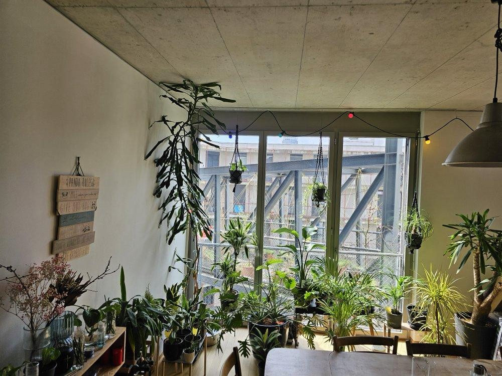 Stanza in un appartamento condiviso, foto 7 di 10