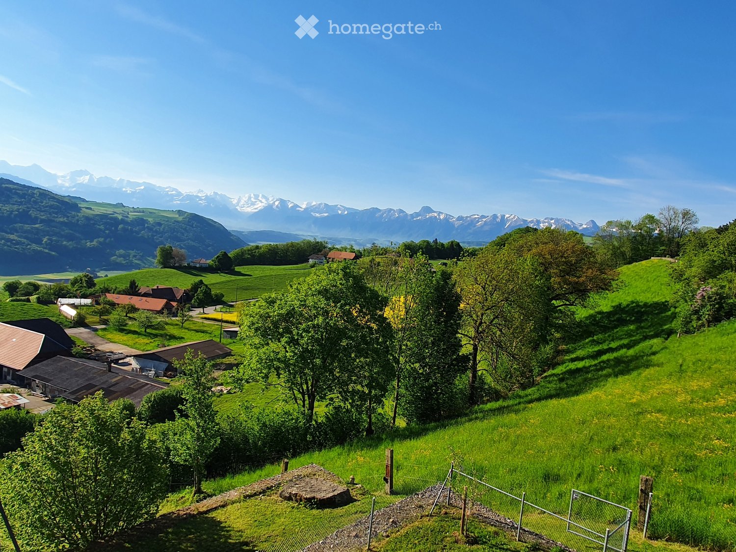 appartamento di 2 ½ locali, foto 5 di 5