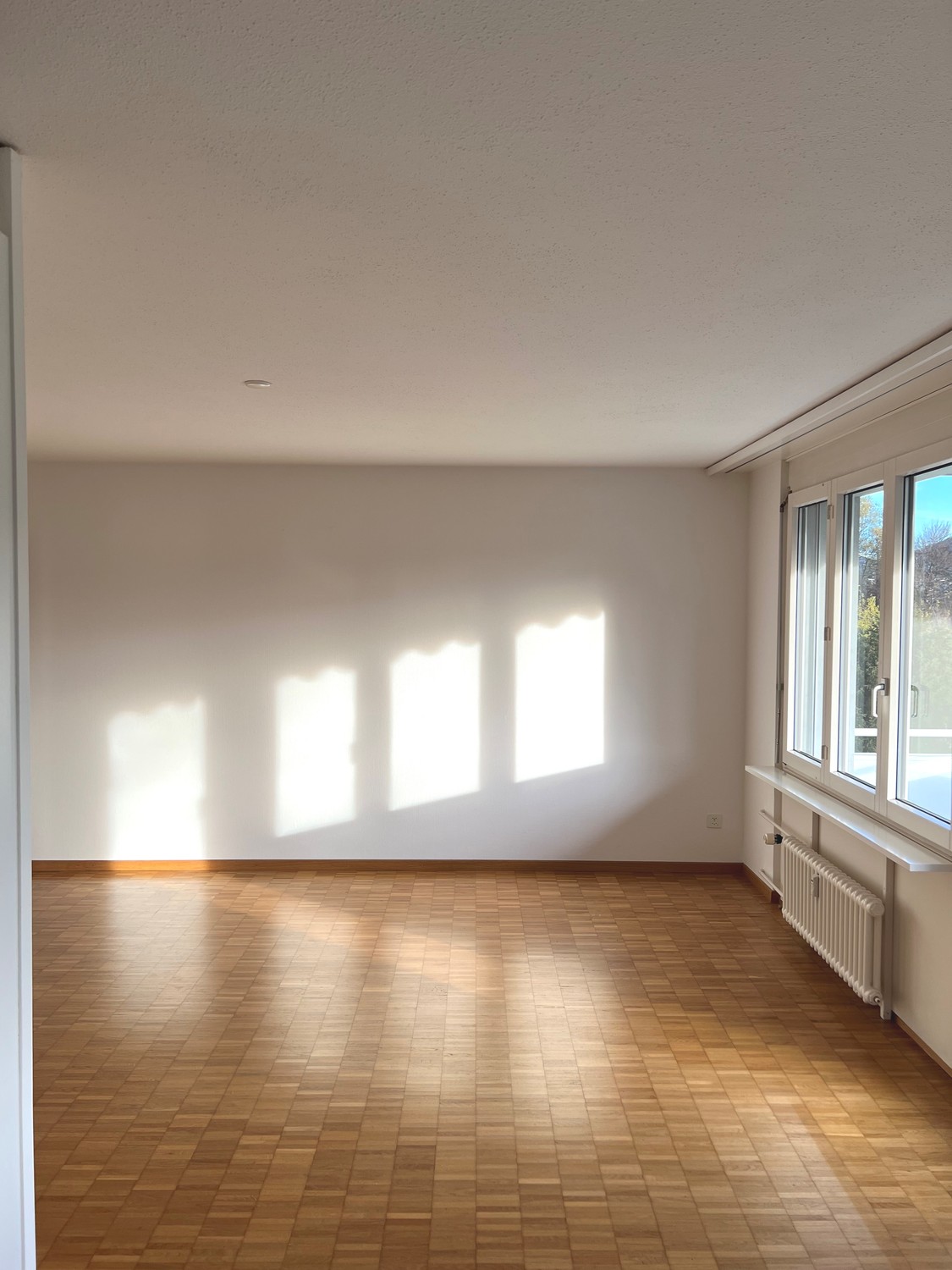 Appartamento di 3 ½ locali, foto 2 di 8