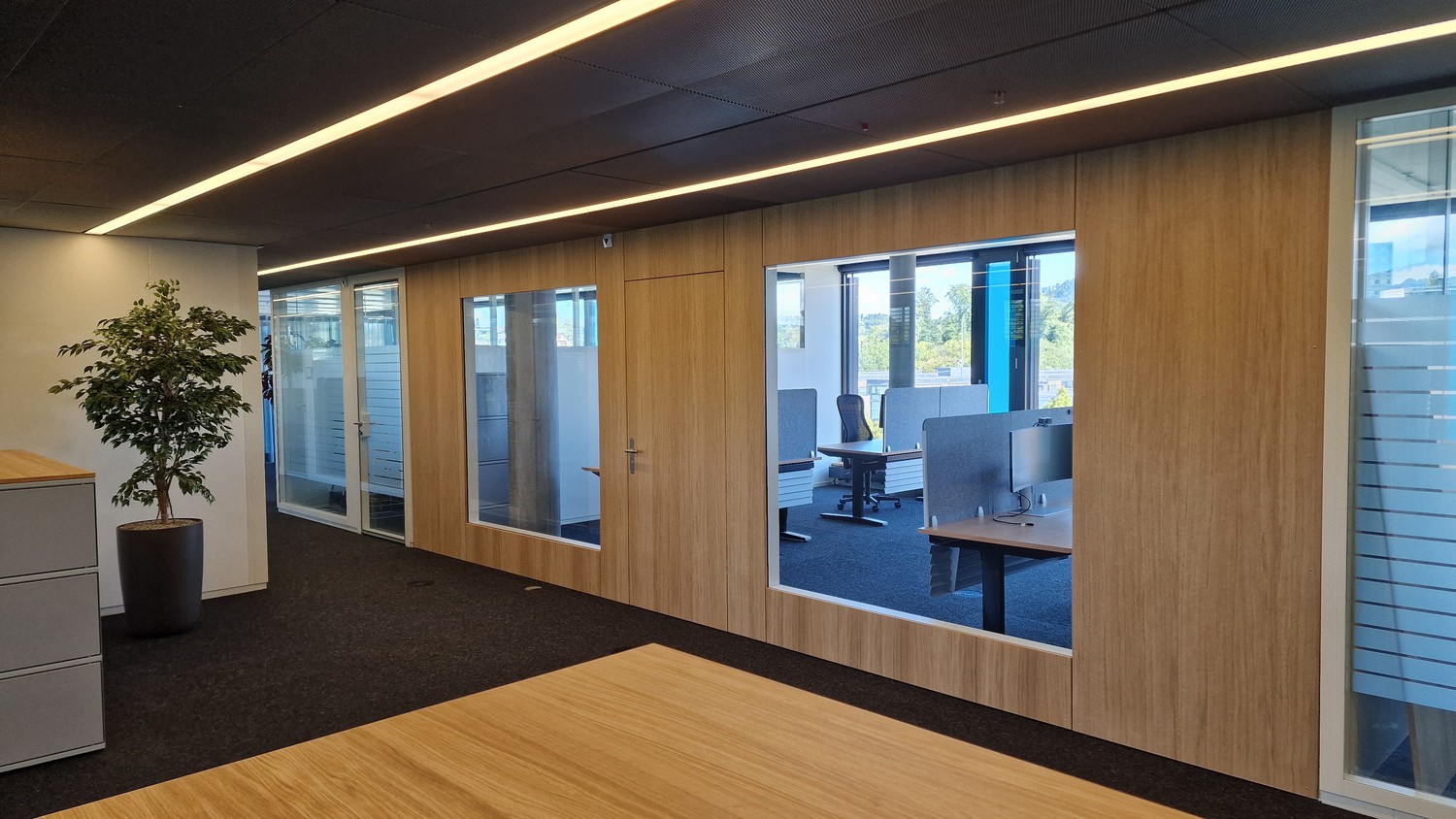 1300m² commerciale