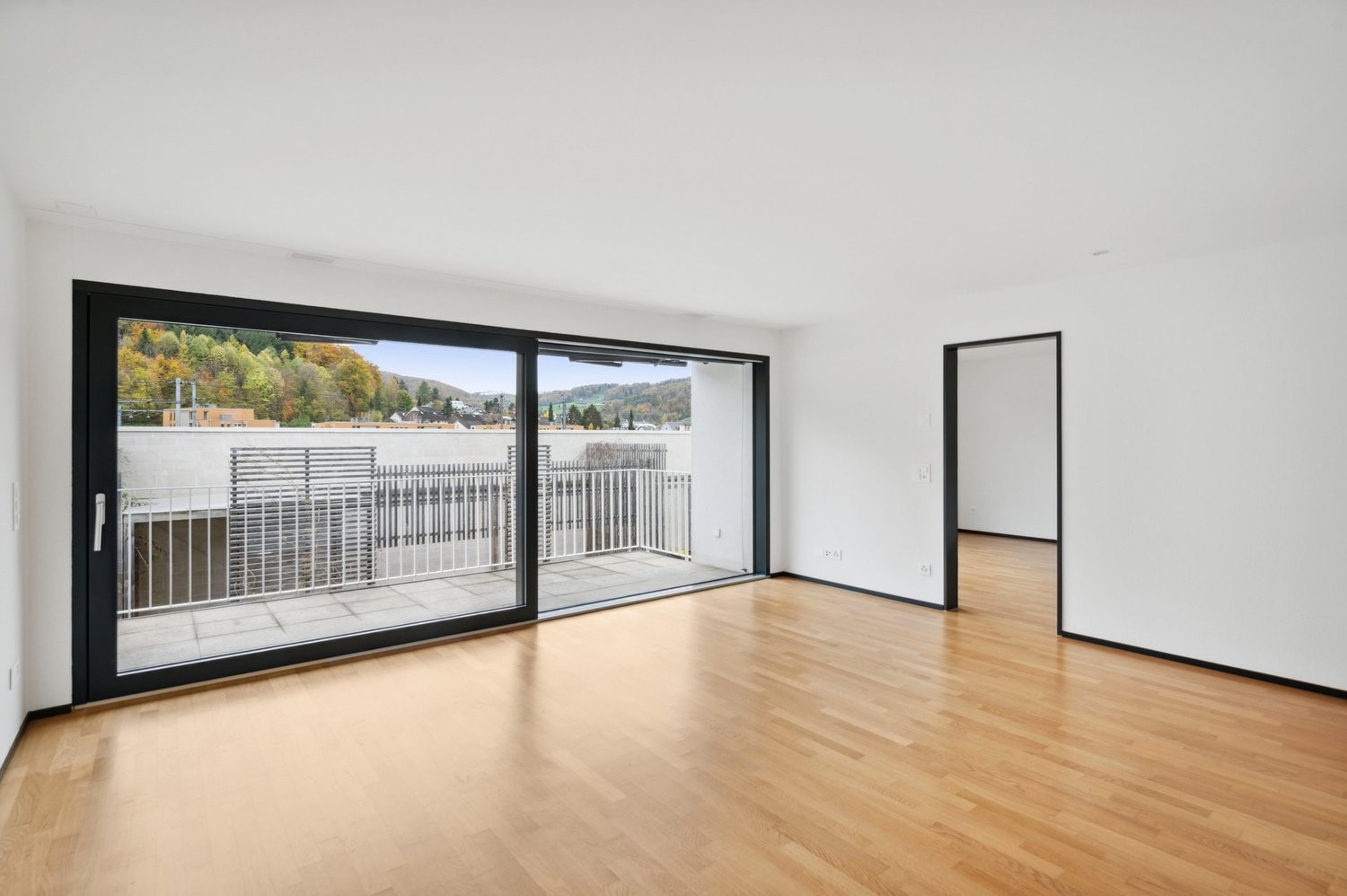 2 ½ rooms apartment