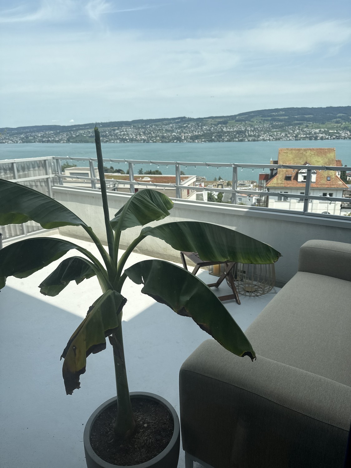 2 ½ Zimmer-Wohnung