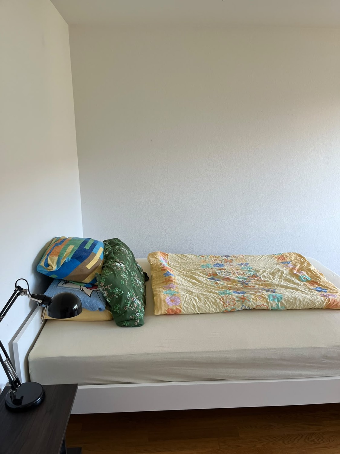 Stanza in un appartamento condiviso