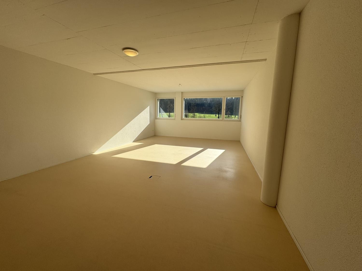52m² commerciale