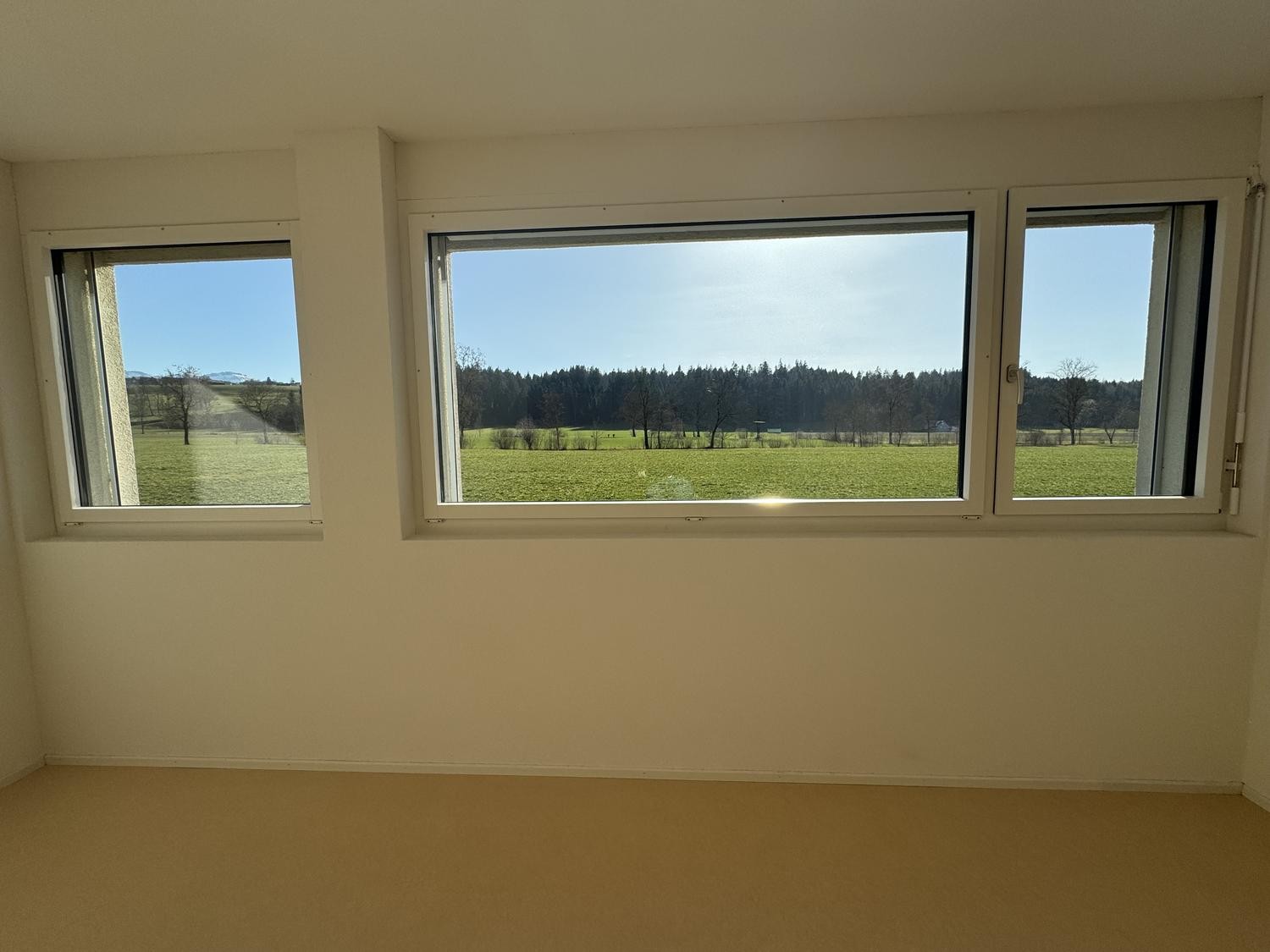 52m² commerciale